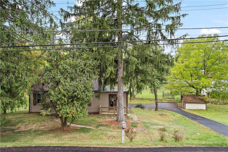 Mature trees provide privacy from the road.