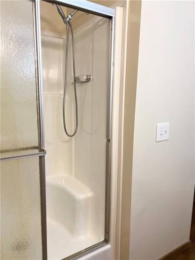 Master Bathroom shower