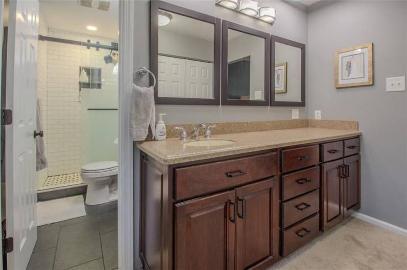 Dressing vanity area.