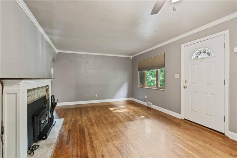 Living Room view with the Fireplace.