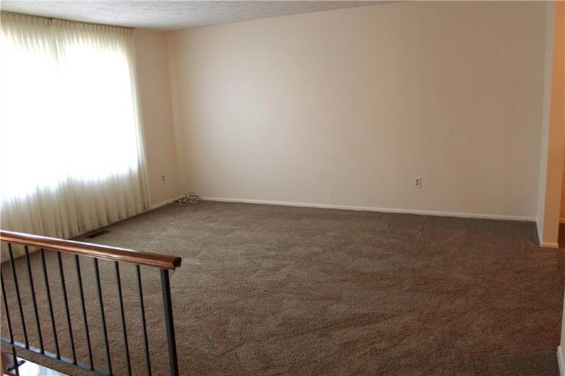 Large Living Room with new carpet and large window letting the natural light shine in.