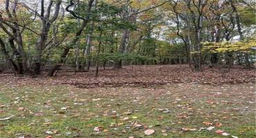0 Spicer Dr, Gibsonia, PA 15044, ,Farm-acreage-lot,For Sale,Spicer Dr,1676526 0 Spicer Dr, Gibsonia, PA 15044, ,Farm-acreage-lot,For Sale,Spicer Dr,1676526