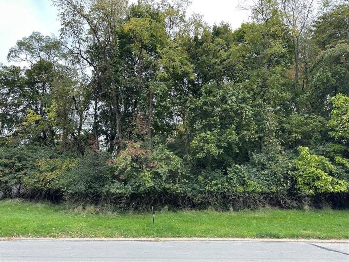 0 Traverse Rd, Pittsburgh, PA 15236, ,Farm-acreage-lot,For Sale,Traverse Rd,1676609