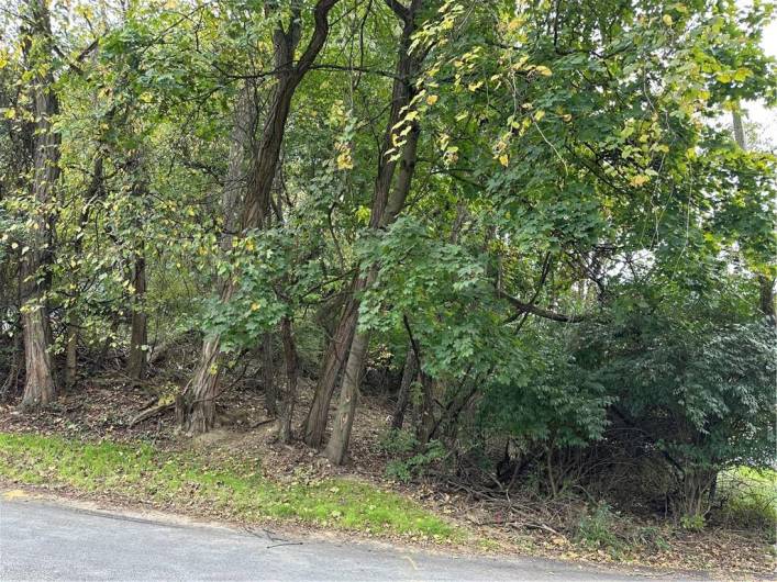 0 Traverse Rd, Pittsburgh, PA 15236, ,Farm-acreage-lot,For Sale,Traverse Rd,1676609