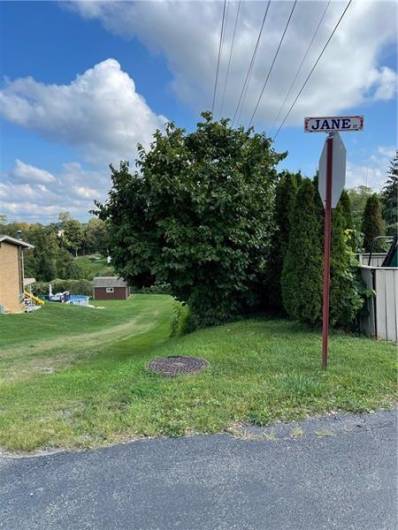 Entrance off Coraopolis Rd onto Jane