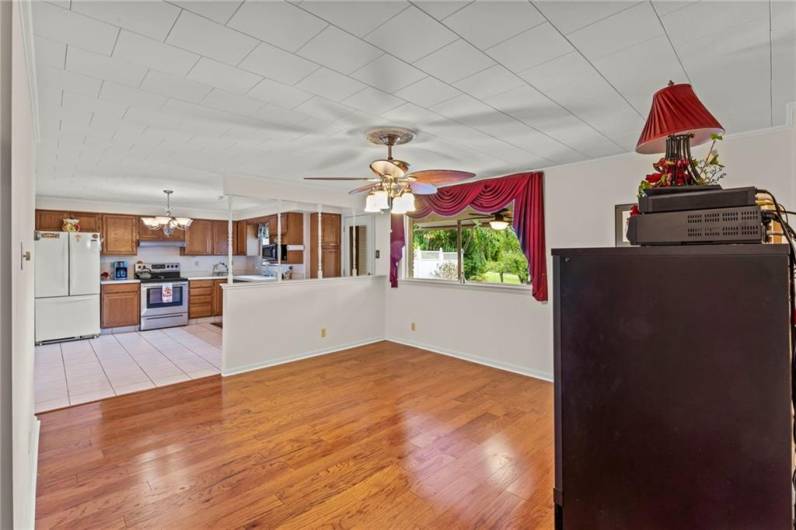 Lower Level 17x15 Living Room w/ Ceiling Fan Light allowing an Open Floor Plan into Kitchen & just off Massive Bedroom