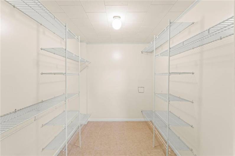 Enormous 8x8 Walk-in Closet in Lower Level Bedroom