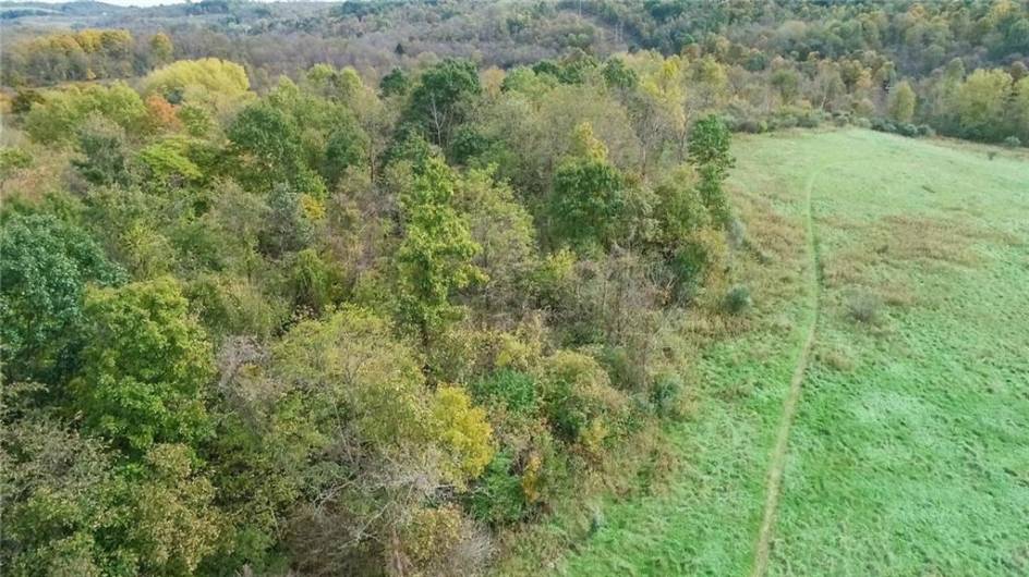 750 NORTH BRANCH ROAD, McDonald, PA 15057, ,Farm-acreage-lot,For Sale,NORTH BRANCH ROAD,1676767