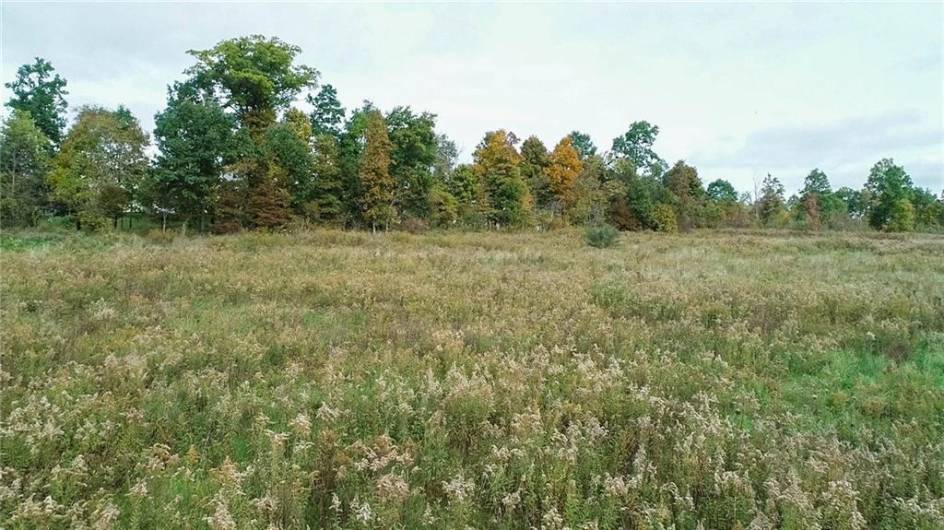 750 NORTH BRANCH ROAD, McDonald, PA 15057, ,Farm-acreage-lot,For Sale,NORTH BRANCH ROAD,1676767