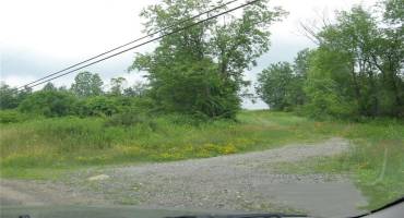 750 NORTH BRANCH ROAD, McDonald, PA 15057, ,Farm-acreage-lot,For Sale,NORTH BRANCH ROAD,1676767 750 NORTH BRANCH ROAD, McDonald, PA 15057, ,Farm-acreage-lot,For Sale,NORTH BRANCH ROAD,1676767