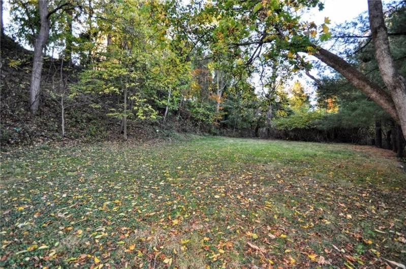 The back yard on the lower level, plenty of room for the kiddos and fur babies to play