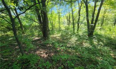 0 Industrial Dr, Slippery Rock, PA 16057, ,Farm-acreage-lot,For Sale,Industrial Dr,1676847