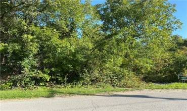 Butler Rd, New Castle, PA 16101, ,Farm-acreage-lot,For Sale,Butler Rd,1677043