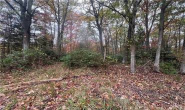 2168 Dinner Bell Five Forks Rd, Farmington, PA 15437, ,Farm-acreage-lot,For Sale,Dinner Bell Five Forks Rd,1676521