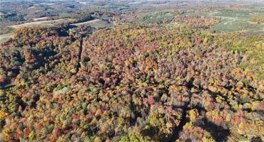 76 Acres along Braughler Road, Marion Center, PA 15759, ,Farm-acreage-lot,For Sale,along Braughler Road,1677219 76 Acres along Braughler Road, Marion Center, PA 15759, ,Farm-acreage-lot,For Sale,along Braughler Road,1677219