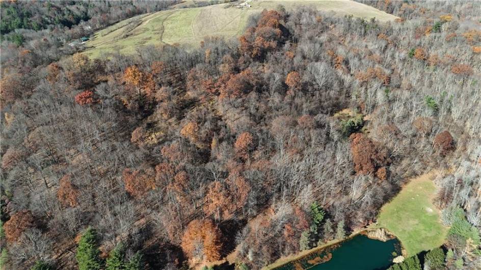 56 Acres ± Along Juneau Road, Punxsutawney, PA 15767, ,Farm-acreage-lot,For Sale,Along Juneau Road,1677220