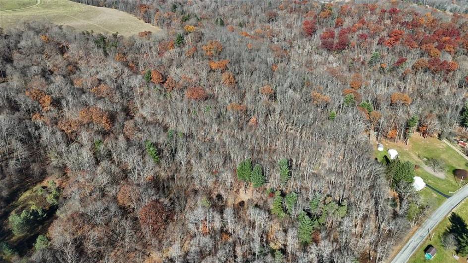 56 Acres ± Along Juneau Road, Punxsutawney, PA 15767, ,Farm-acreage-lot,For Sale,Along Juneau Road,1677220