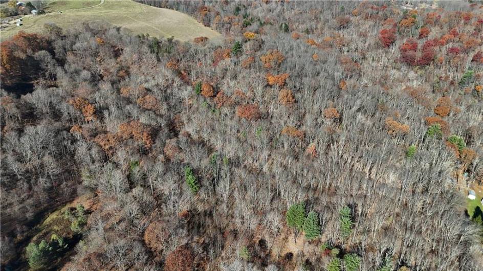 56 Acres ± Along Juneau Road, Punxsutawney, PA 15767, ,Farm-acreage-lot,For Sale,Along Juneau Road,1677220