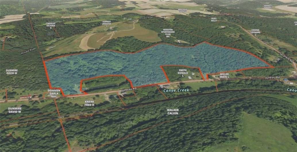 56 Acres ± Along Juneau Road, Punxsutawney, PA 15767, ,Farm-acreage-lot,For Sale,Along Juneau Road,1677220