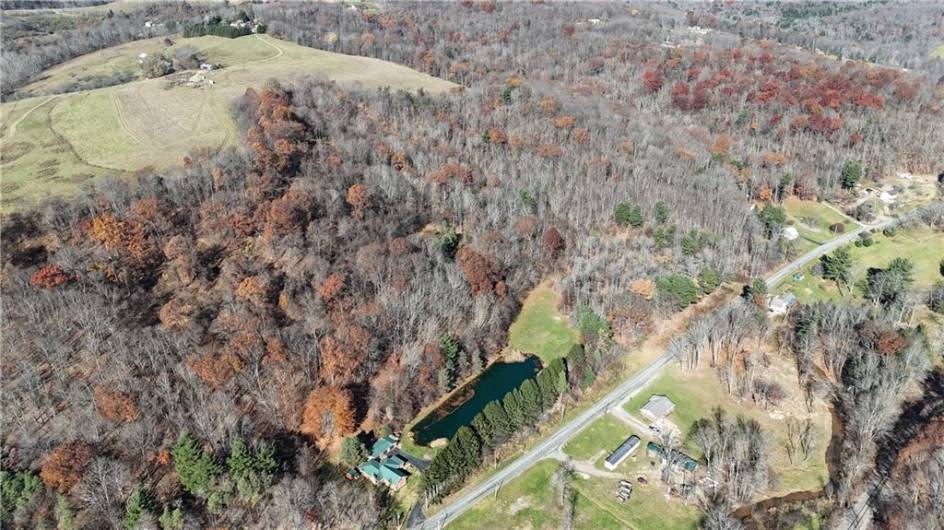 56 Acres ± Along Juneau Road, Punxsutawney, PA 15767, ,Farm-acreage-lot,For Sale,Along Juneau Road,1677220