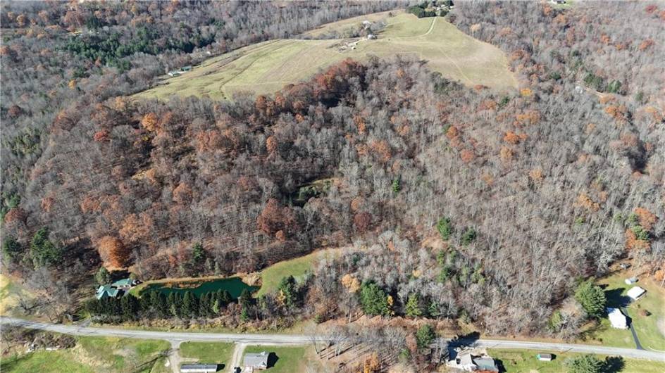 56 Acres ± Along Juneau Road, Punxsutawney, PA 15767, ,Farm-acreage-lot,For Sale,Along Juneau Road,1677220