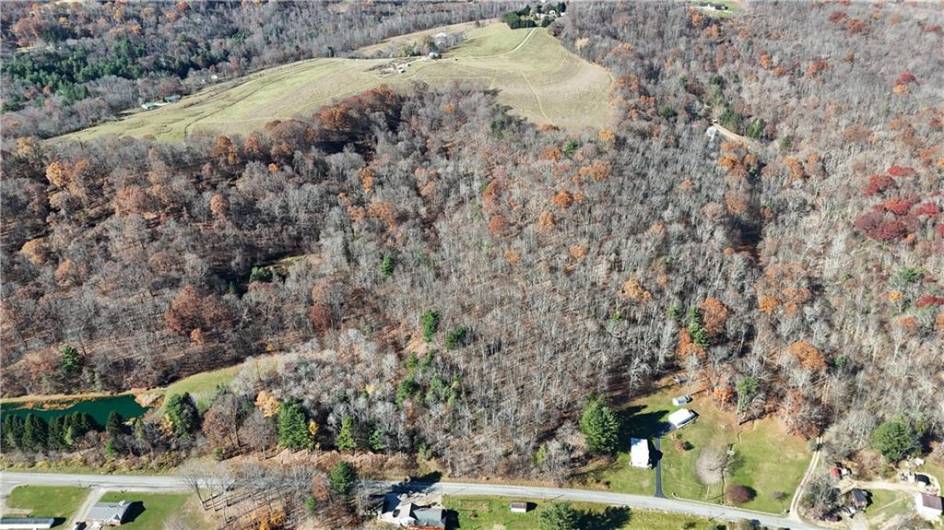 56 Acres ± Along Juneau Road, Punxsutawney, PA 15767, ,Farm-acreage-lot,For Sale,Along Juneau Road,1677220