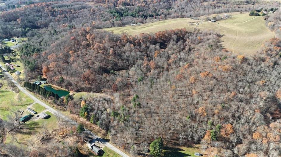 56 Acres ± Along Juneau Road, Punxsutawney, PA 15767, ,Farm-acreage-lot,For Sale,Along Juneau Road,1677220