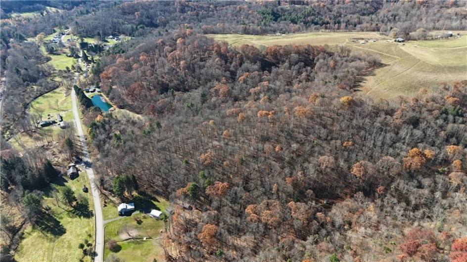 56 Acres ± Along Juneau Road, Punxsutawney, PA 15767, ,Farm-acreage-lot,For Sale,Along Juneau Road,1677220