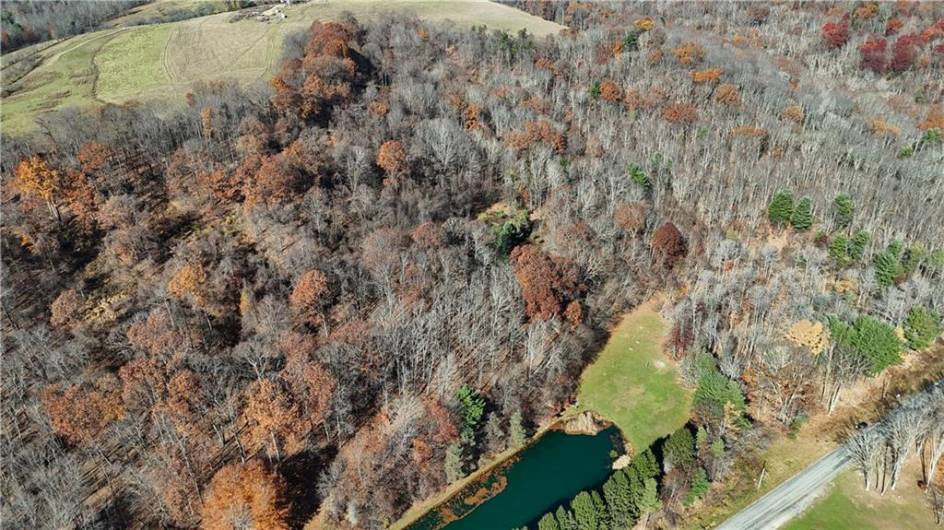 56 Acres ± Along Juneau Road, Punxsutawney, PA 15767, ,Farm-acreage-lot,For Sale,Along Juneau Road,1677220