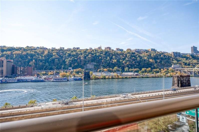 View from the patio!