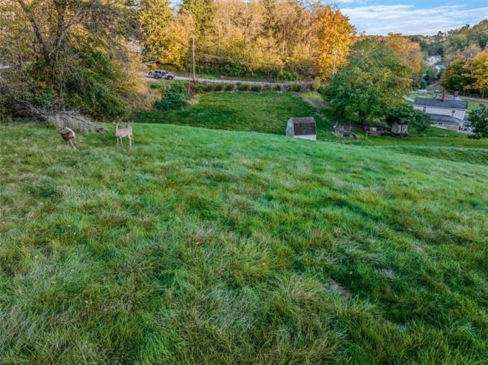 2028 Scotia Hollow Rd, Jefferson Hills, PA 15332, ,Farm-acreage-lot,For Sale,Scotia Hollow Rd,1676980