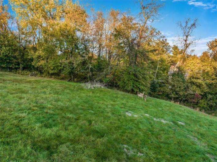 2028 Scotia Hollow Rd, Jefferson Hills, PA 15332, ,Farm-acreage-lot,For Sale,Scotia Hollow Rd,1676980