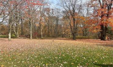 322 Hosack Rd, Jackson Center, PA 16133, ,Farm-acreage-lot,For Sale,Hosack Rd,1677925