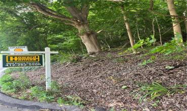 5019 Thoms Run Rd, Oakdale, PA 15071, ,Farm-acreage-lot,For Sale,Thoms Run Rd,1657555