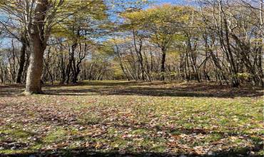 000 Fleegle Road, Central City, PA 15926, ,Farm-acreage-lot,For Sale,Fleegle Road,1678109