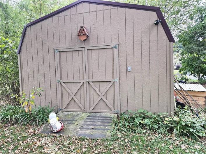 Large Shed with Electric