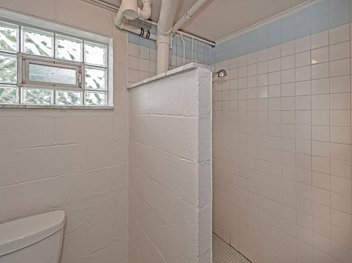 This is the basement bathroom with shower!