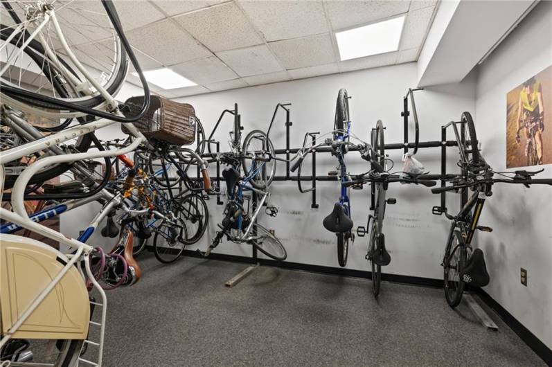 Plenty of storage if you are a bike enthusiastic!