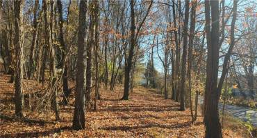 215 BEDILLION ROAD, WASHINGTON, PA 15301, ,Farm-acreage-lot,For Sale,BEDILLION ROAD,1678682