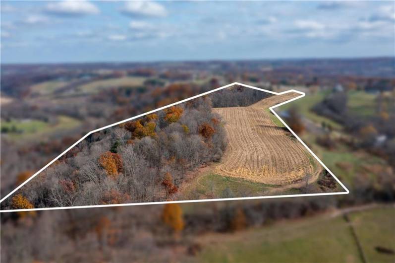 Outline Showing Land Being Conveyed and Taken from the Rear of the Land Back Towards Forrest Drive