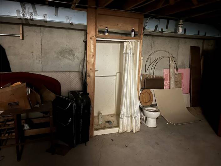 Full bath in basement, Poured foundation walls!