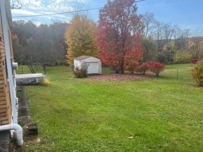 yard and storage shed