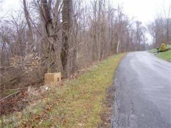 Rear of Property on Munce Ridge Road