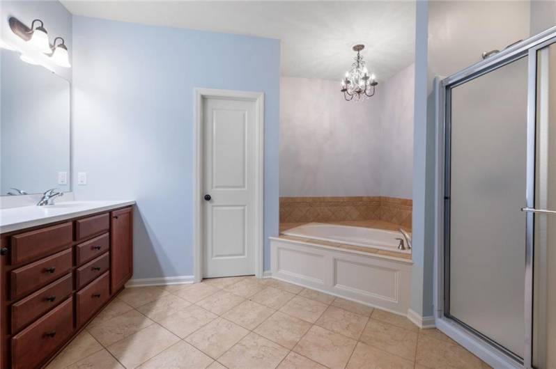 Master Bathroom with Soaking Tub, Shower, and Water Closet