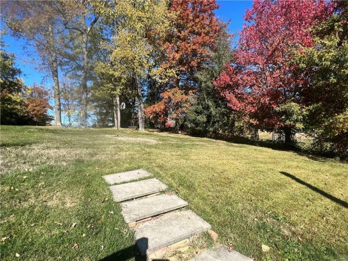 Awesome Yard with Plenty of Space to Play!