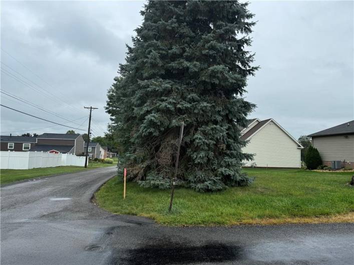 View from corner of Ridge and Blaine. So much more land once Pines are removed