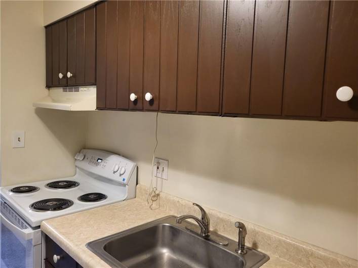 Ample Cupboard Space and Electric Stove and Refrigerator