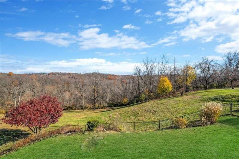 The backyard showcases a large, fenced green area with mature trees and vibrant foliage. Great for outdoor activities, gardening, or simply enjoying the natural beauty.