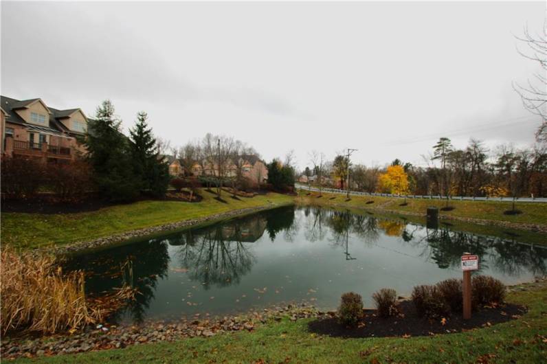 The Pond has a fountain that is turned on in warmer months.