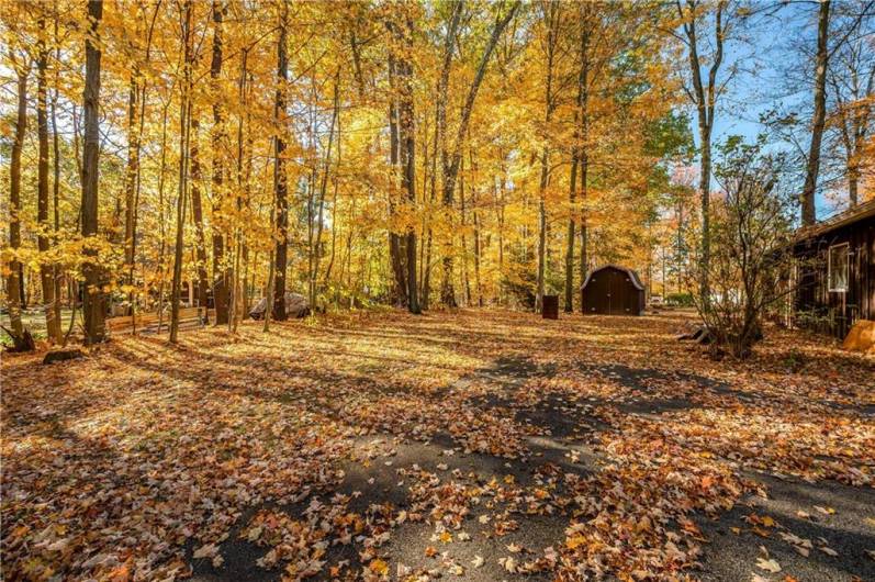 Backyard with shed